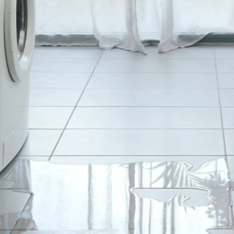 Appliance Leak Cleanup in Trooper, PA