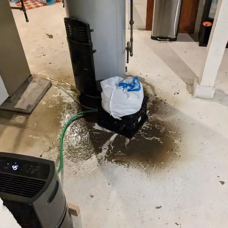 Sewage Backup Cleanup Service in Trooper, PA
